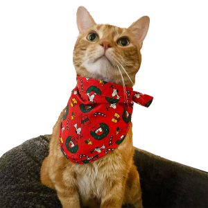 Kohl's Snoopy Pet Supplies