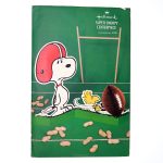 Snoopy & Woodstock Football Decoration