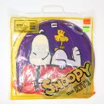 Snoopy and Woodstock on Doghouse Kite