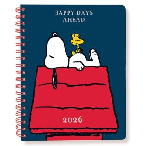 Peanuts Calendars from Graphique