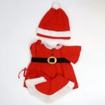 Belle Mrs. Clause Outfit