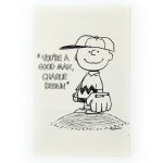 You're a Good Man, Charlie Brown Playbill