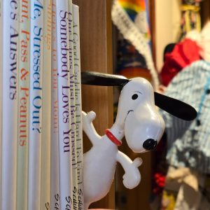 A poseable bendy Snoopy toy with a red collar, positioned in front of a shelf filled with Peanuts books.