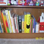 6 shelf