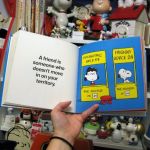 A friend is someone who doesn't move in on your territory. A friend is someone who doesn't move in on your territory.