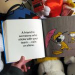 A friend is someone who sticks with your team... rain or shine. A friend is someone who sticks with your team... rain or shine.