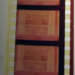 IMG_5756t.jpg
