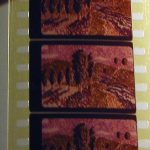IMG_5766t.jpg