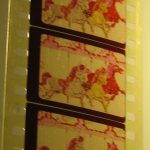 IMG_5767t.jpg