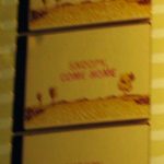 IMG_5769t.jpg