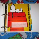 Snoopy and his Doghouse