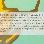 He's game for anything Snoopy wants to do...
