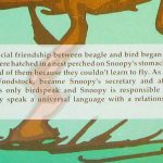 ... they speak a universal language with a relationship that delights millions.