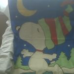 _Media Card_BlackBerry_pictures_IMG00322.jpg