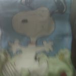 _Media Card_BlackBerry_pictures_IMG00323.jpg