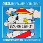 House Light! <a href="https://cpnuts.com/switch-plates">Click for the answer!</a> House Light! Click for the answer!
