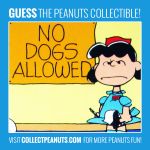 No dogs allowed! <a href="https://cpnuts.com/puzzles-golden">Click for the answer!</a> No dogs allowed! Click for the answer!