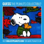 Fall Fans! <a href="https://cpnuts.com/aviva-stained-glass">Click for the answer!</a> Fall Fans!