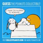 Night Owl! <a href="https://cpnuts.com/plaques">Click for the answer!</a> Night Owl!