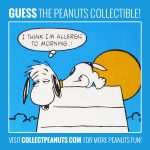 Night Owl! <a href="https://cpnuts.com/plaques">Click for the answer!</a> Night Owl!