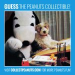 Real Pals! <a href="https://bit.ly/2coSjS7">Click for the answer!</a> Real Pals! Click for the answer!