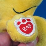 Detail of Woodstock's paw