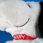 Detail of Snoopy's Collar