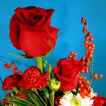 The Snoopy Cookie Jar Bouquet - Close-up of Flowers