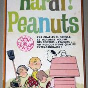 Charlie Brown Book - Yellow Shirt