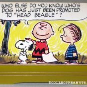 Charlie Brown Musical - Red Shirt