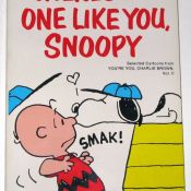 Charlie Brown Book - Red Shirt