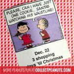 Peanuts Christmas Countdown - December 22