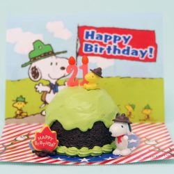 Snoopy Beaglescouts Birthday Cake Snoopy Beaglescouts Birthday Cake
