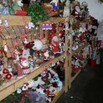 Snowball? Not with that little black nose on top! Snowball? Not with that little black nose on top!