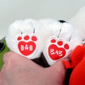 Paw Logos - 2019 on Left