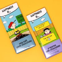 Peanuts Astor Chocolate 3 oz. Bars