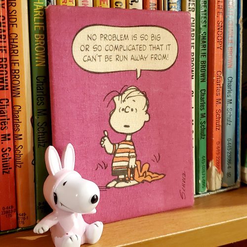 Vintage Linus philosophy wall plaquette leaning against a bookshelf stacked with Peanuts paperback books, alongside a small white plush rabbit figurine with long ears.