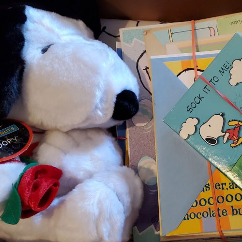 You're Invited! Peanuts Estate Sale Finds Livestream