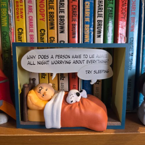 A miniature box scene featuring Charlie Brown lying in bed asking, "WHY DOES A PERSON HAVE TO LIE AWAKE ALL NIGHT WORRYING ABOUT EVERYTHING?", while Snoopy rests at the foot of his bed replying, "TRY SLEEPING", set against a background of Peanuts books.