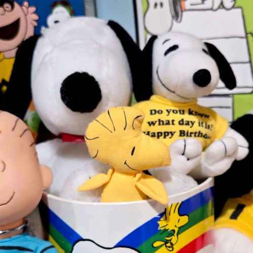 A collection of Peanuts plush toys inside a colorful container, featuring a yellow Woodstock plush in the foreground with a yellow shirt that reads "Do you know what day it is? Happy Birthday", flanked by larger Snoopy and character plushies.