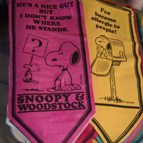 Peanuts Felt Pennant Banners - CollectPeanuts.com