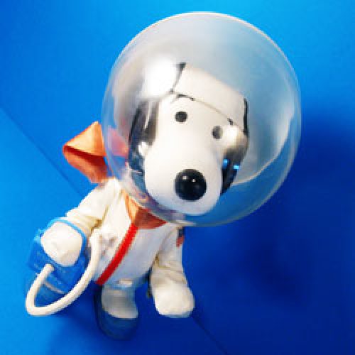 What is a Peanuts Pocket Doll? - Collecting 101