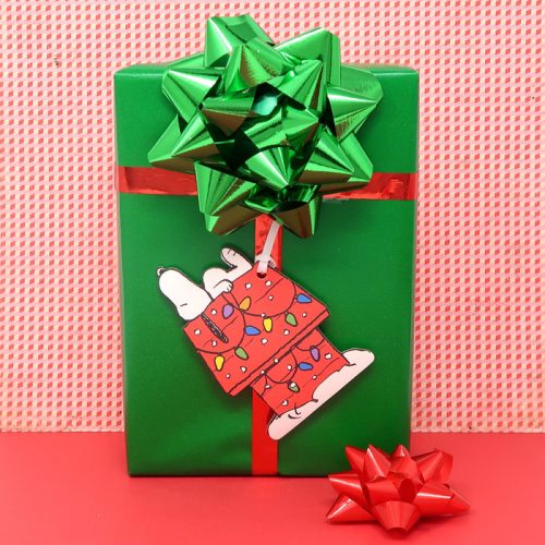 Peanuts Christmas Gift Packages