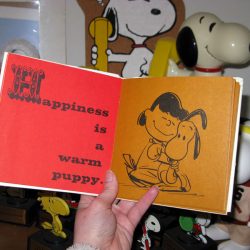 Happiness is a warm puppy.