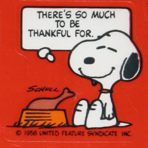 There's so  much to be thankful for.
