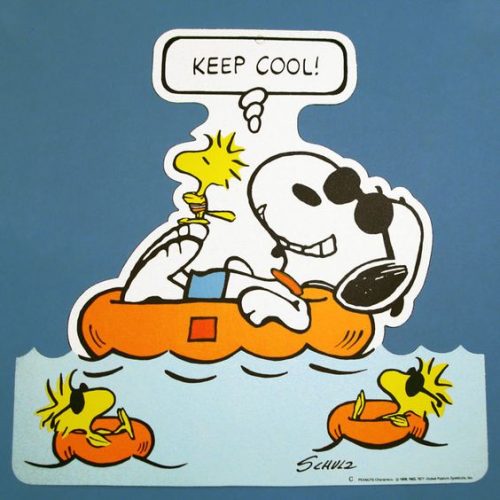 For Sale - Peanuts Hallmark Summer Display