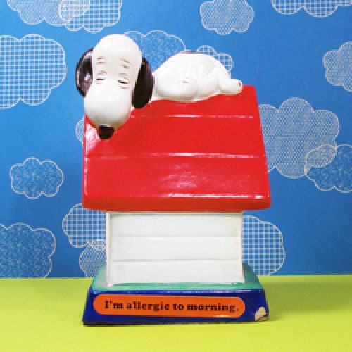 There's no place like Snoopy's Doghouse