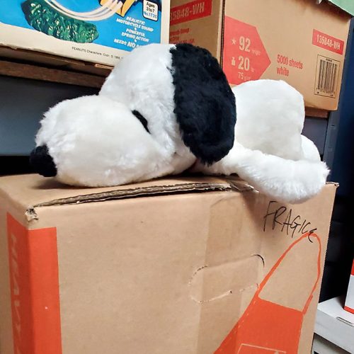 You're Invited! February Mystery Unboxing Livestream