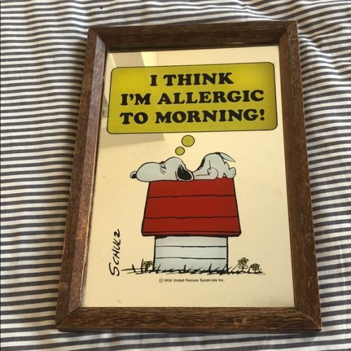 Vintage Snoopy Mirror Picture