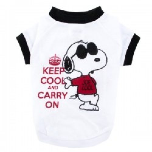 pPETNA-5211684_main_enh